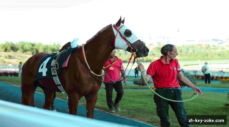 澳客-足彩官方网站-体育赛事足球竞彩比分-投注赔率分析